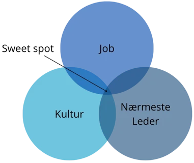job-kultur-leder-billede