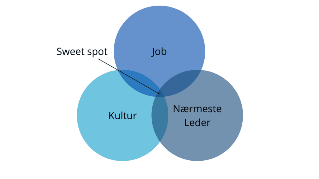 FIT-modellen i forbindelse med rekruttering med talentprofiler